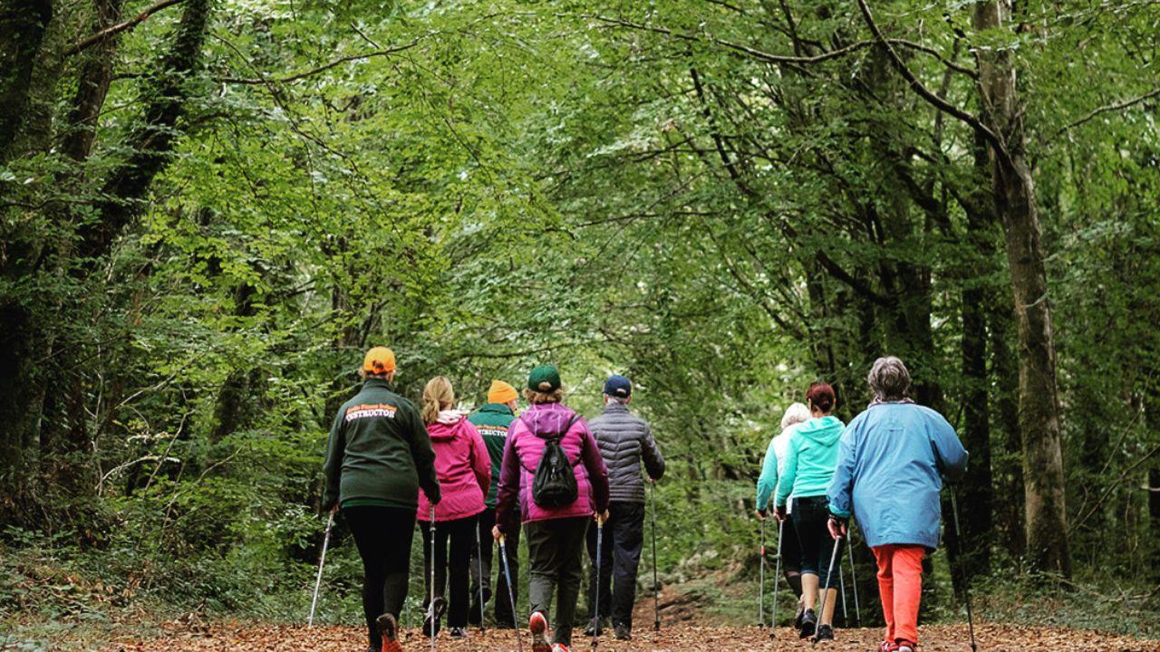 A Group of Nordic Walkers walking through the woods